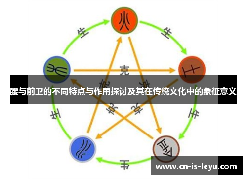 腰与前卫的不同特点与作用探讨及其在传统文化中的象征意义 腰与前卫的不同特点与作用探讨及其在传统文化中的象征意义