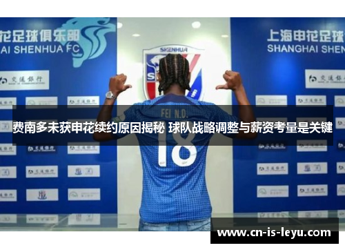 费南多未获申花续约原因揭秘 球队战略调整与薪资考量是关键 费南多未获申花续约原因揭秘 球队战略调整与薪资考量是关键