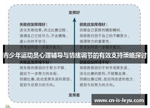 青少年运动员心理辅导与情绪调节的有效支持策略探讨