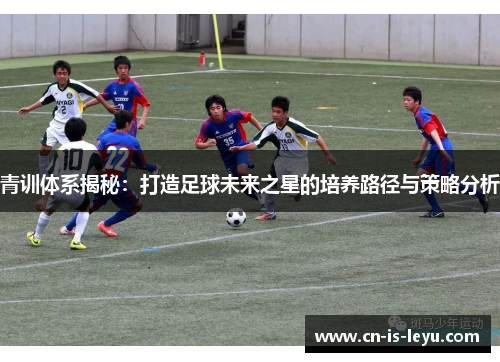 青训体系揭秘：打造足球未来之星的培养路径与策略分析