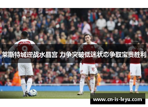莱斯特城迎战水晶宫 力争突破低迷状态争取宝贵胜利 莱斯特城迎战水晶宫 力争突破低迷状态争取宝贵胜利