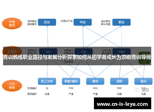 青训教练职业路径与发展分析探索如何从初学者成长为顶级青训导师 青训教练职业路径与发展分析探索如何从初学者成长为顶级青训导师