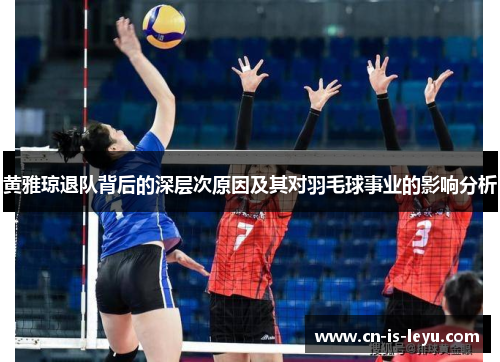 黄雅琼退队背后的深层次原因及其对羽毛球事业的影响分析